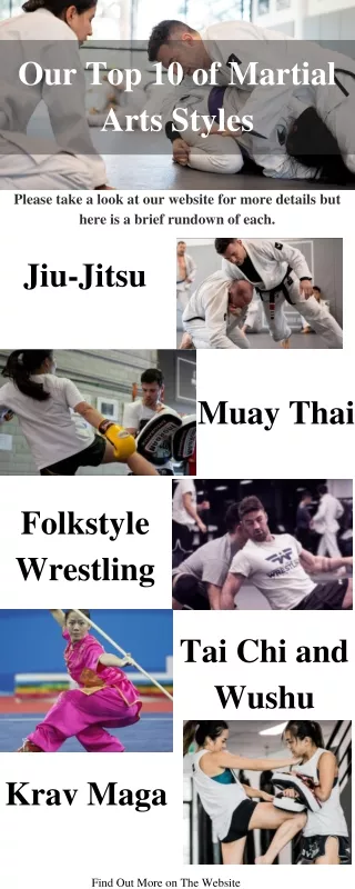 Top 10 Martial Arts Styles - Our list from VT1 Academy