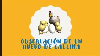 OBSERVACIÓN DE UN HUEVO DE GALLINA