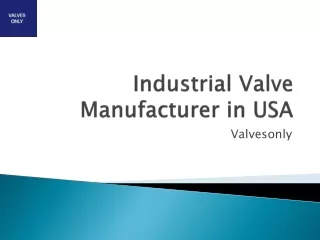 Industrial Valve Manufacturer in USA