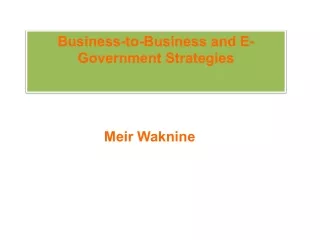 Business-to-Business and E-Government Strategies | Meir Waknine