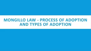Mongillo Law - Process of Adoption and Types of Adoption