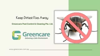 Keep Dirtiest Flies Away – Greencare pest Control