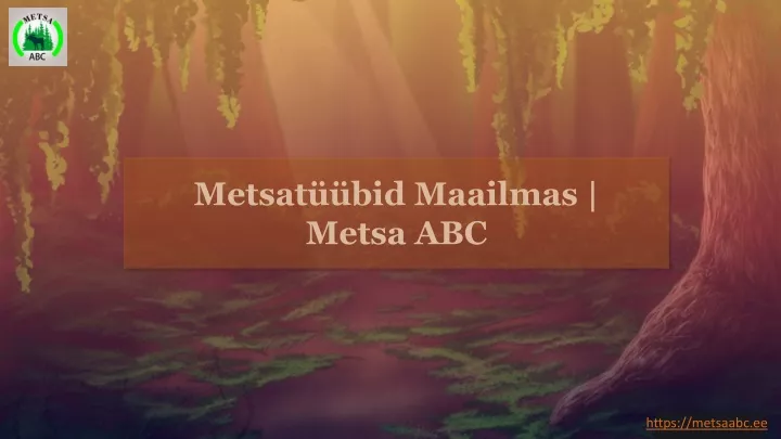 metsat bid maailmas metsa abc