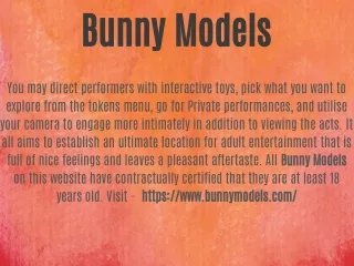 Bunny Models