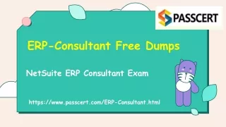 erp consultant free dumps