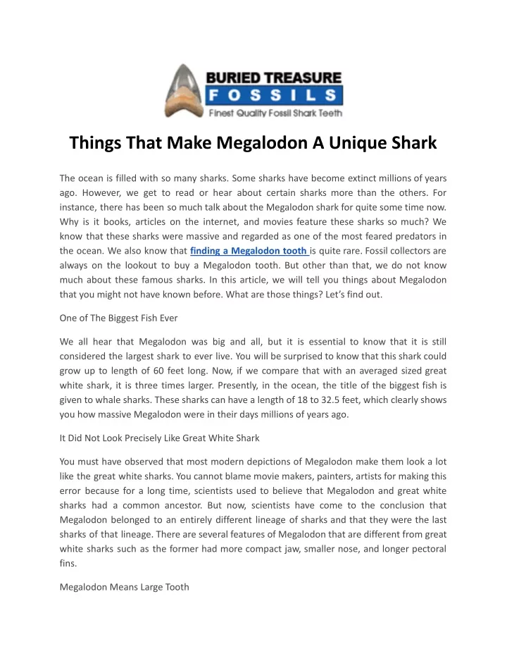 things that make megalodon a unique shark