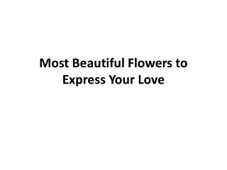 Most Beautiful Flowers to Express Your Love