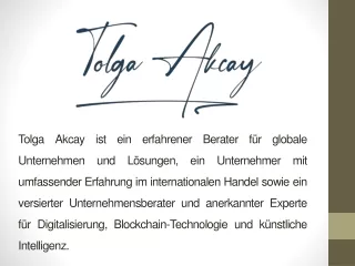 Tolga Akcay – Erfahrene Beraterin für globale Unternehmen
