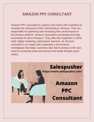 Amazon PPC Consultanttt