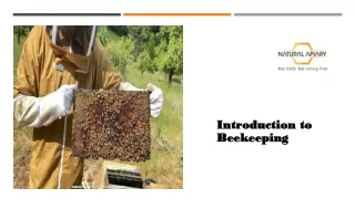 Introduction to Beekeeping