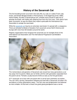 history of the savannah cat