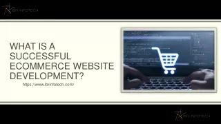 what is a successful ecommerce website