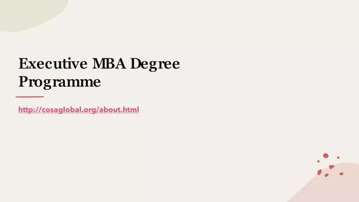 executive mba degree programme