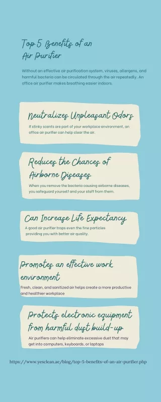 Top 5 benefits of an air purifier