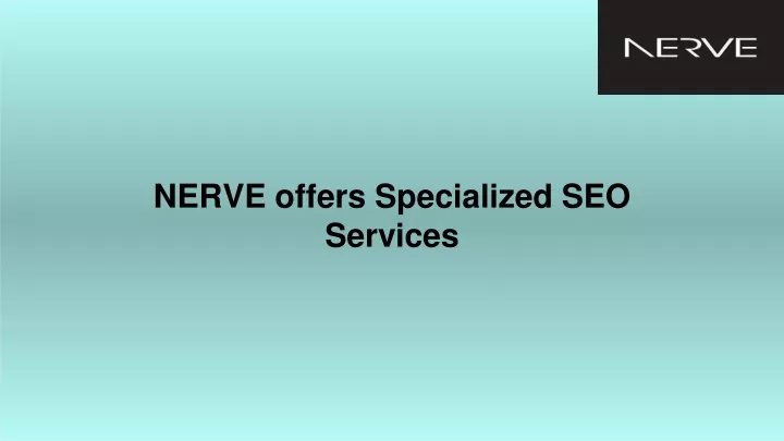 nerve offers specialized seo services