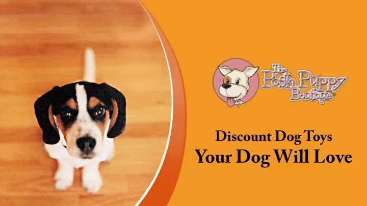 discount dog toys your dog will love