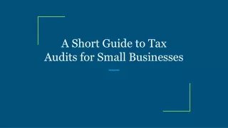 a short guide to tax audits for small businesses