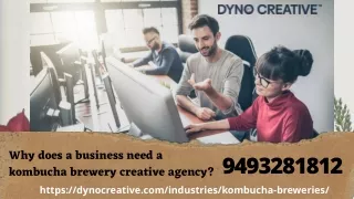 Kombucha Brewery Creative Agency | Top Kombucha Designers | Dyno Creative