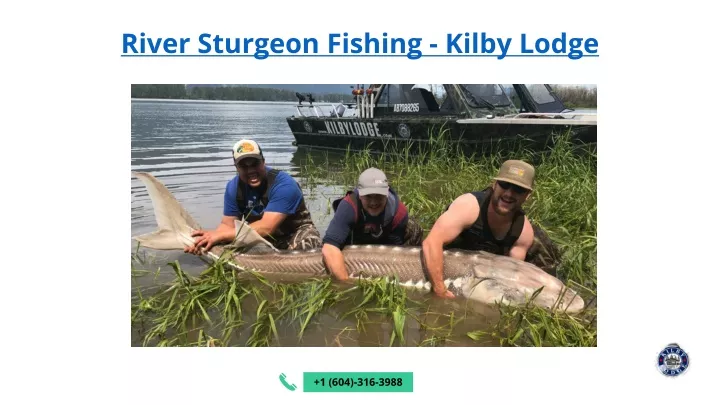 river sturgeon fishing kilby lodge