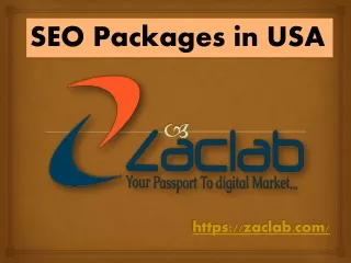 SEO Packages in USA