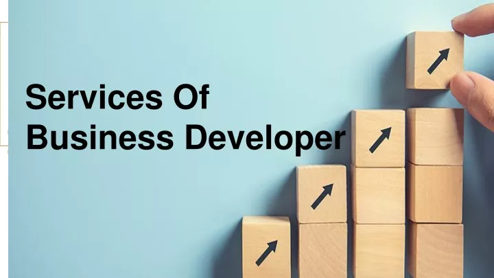 services of business developer