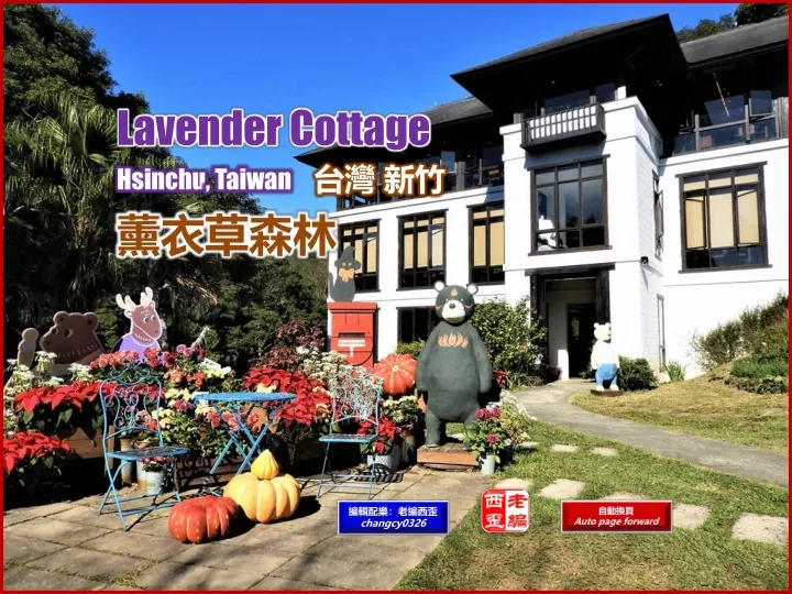 lavender cottage hsinchu taiwan