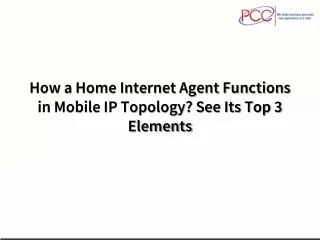 How a Home Internet Agent Functions in Mobile IP Topology See Its Top 3 Elements
