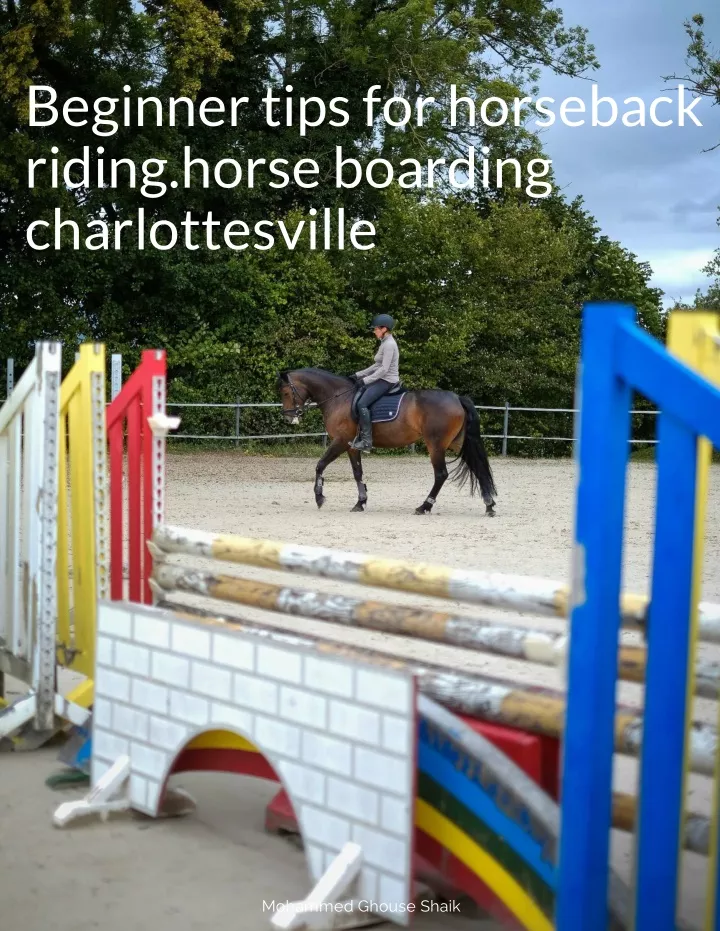beginner tips for horseback riding horse boarding