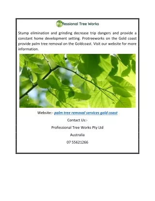 Find the best Palm Tree Removal Services Gold Coast  Protreeworks.com.au