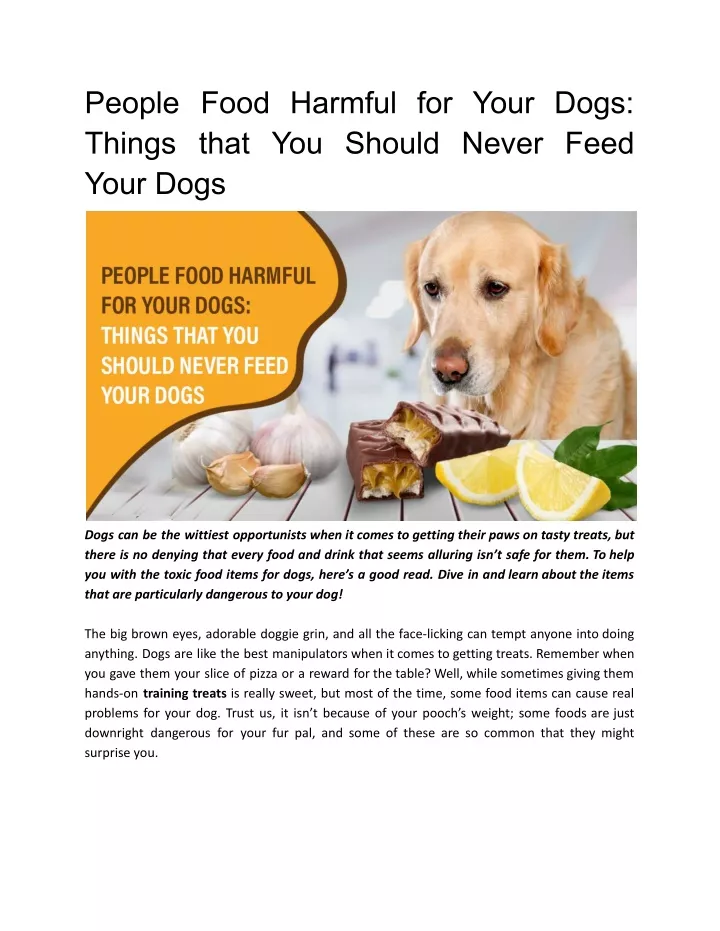 PPT - People Food Harmful for Your Dogs_ Things that You Should Never ...