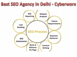 best seo agency in delhi cyberworx