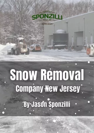 Working with a Professional Snow Removal Company in New Jersey