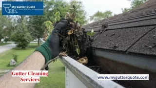 Gutter Cleaning Services