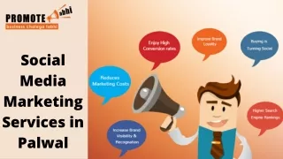 Social Media Marketing Services in Palwal