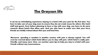 Places For Rent That Allow Dogs - The Grayson Life