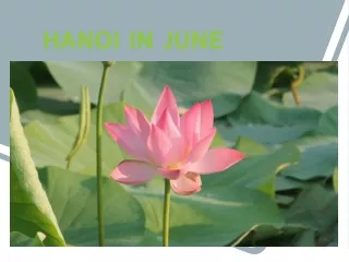hanoi in june