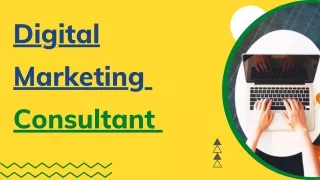 Digital Marketing Consultant