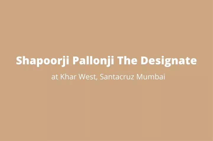 shapoorji pallonji the designate