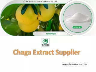 Chaga Extract Supplier-Plantextractssr