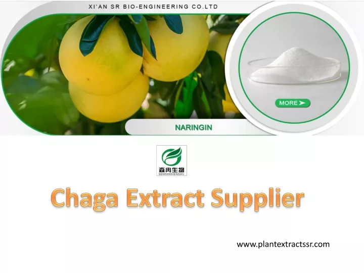 chaga extract supplier