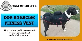 Dog Exercise Fitness Vest