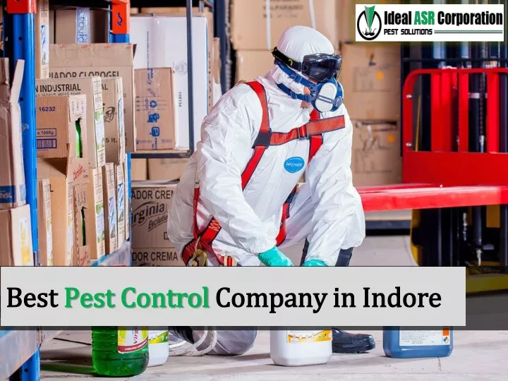 best pest control company in indore