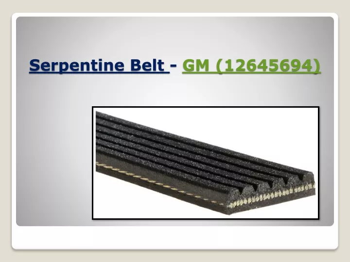 serpentine belt gm 12645694