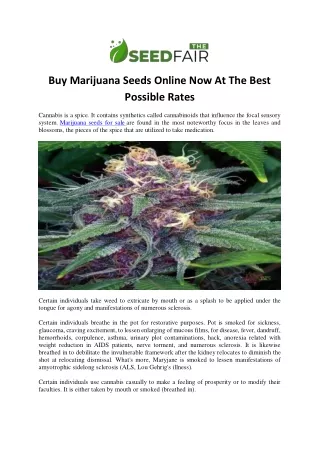 Buy Marijuana Seeds Online Now At The Best Possible Rates