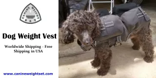 Dog Weight Vest