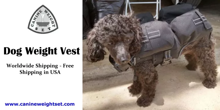 dog weight vest