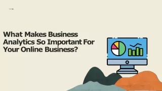 What Makes Business Analytics So Important For Your Online Business