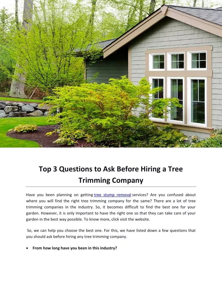 top 3 questions to ask before hiring a tree