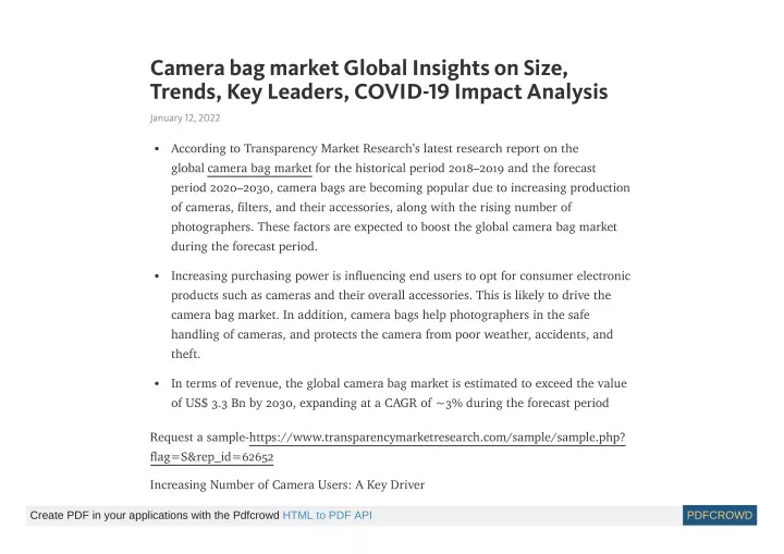 camera bag market global insights on size trends