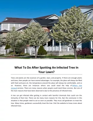 What To Do After Spotting An Infected Tree In Your Lawn